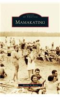 Mamakating