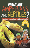 What are Amphibians and Reptiles? Functions, Groups, Roles and Characteristics Grade 6-8 Life Science