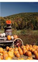 Journal Fall Season Harvesting Pumpkins