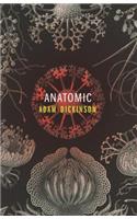 Anatomic
