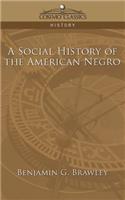 Social History of the American Negro