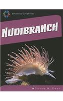 Nudibranch