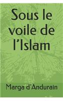 Sous le voile de l'Islam