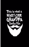 This is What a Really Cool Grandpa Looks like