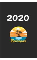 Daily Planner And Appointment Calendar 2142: Belmopan City Country Daily Planner And Appointment Calendar For 2020 With 366 White Pages