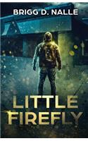 Little Firefly: An Irregular Romance