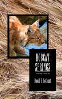 Bobcat Springs