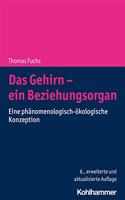 Das Gehirn - Ein Beziehungsorgan: Eine Phanomenologisch-Okologische Konzeption