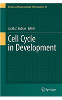 Cell Cycle in Development