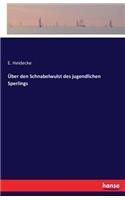 Über den Schnabelwulst des jugendlichen Sperlings