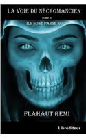 La Voie Du Necromancien