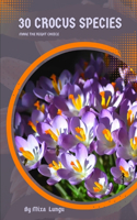 30 Crocus species