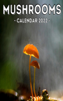 Mushrooms Calendar 2022