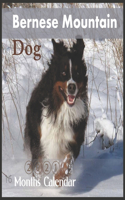 Bernese Mountain Dog Calendar