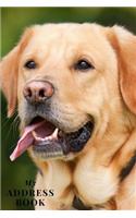 My Address Book: Labrador Cover - Address Book for Names, Addresses, Phone Numbers, E-mails and Birthdays