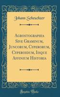 Agrostographia Sive Graminum, Juncorum, Cyperorum, Cyperoidum, Iisque Affinium Historia (Classic Reprint)