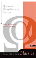 Quantum Many-particle Systems