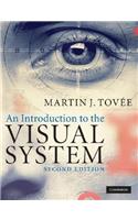 An Introduction to the Visual System