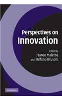 Perspectives on Innovation