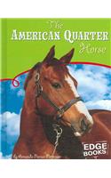 The American Quarter Horse