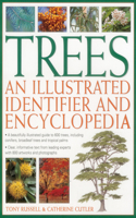 Trees: An Illustrated Identifier and Encyclopedia