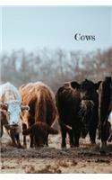 Cows: Journal. Diary. Notebook. Blank lined paper. 120 pages.