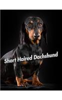 Short Haired Dachshund: 2020 Weekly Calendar 12 Months 107 pages 8.5 x 11 in. Planner Diary Organizer Agenda Appointment Half Spread Wide Ruled Pages