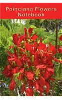Poinciana Flowers Notebook