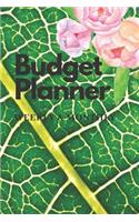 Budget Planner: Personal Budget Planning and Monthly Budget Planner