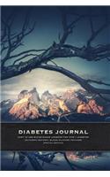 Diabetes Journal - Easy to Use Blood Sugar Logbook for Type 1 Diabetes (Glycemic Record / Blood Glucose Tracker) Special Edition