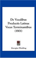 De Vocalibus Productis Latinas Voces Terminantibus (1901)