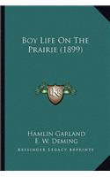 Boy Life on the Prairie (1899)
