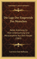 Die Lage Der Eingeweide Des Menschen