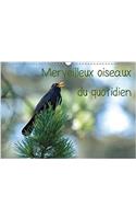 Merveilleux Oiseaux Du Quotidien 2018