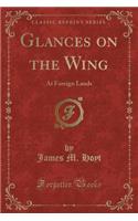 Glances on the Wing