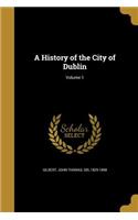 A History of the City of Dublin; Volume 1