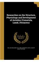 Researches on the Structure, Physiology and Development of Antedon (Comatula, Lamk.) Rosaceus