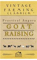 Practical Angora Goat Raising