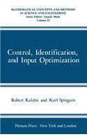 Control, Identification, and Input Optimization