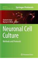 Neuronal Cell Culture