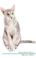 Oriental Shorthair Affirmations Workbook Oriental Shorthair Presents: Positive and Loving Affirmations Workbook. Includes: Mentoring Questions, Guidance, Supporting You.