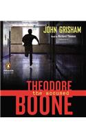 Theodore Boone: The Accused