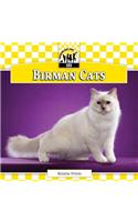 Birman Cats