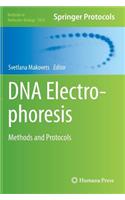 DNA Electrophoresis