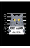 Most wanted british shorthair cat police