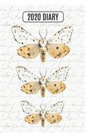 2020 Daily Diary Planner, Watercolor Moths: Three Days Per Page Full Year Planner