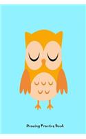 Drawing Practice Book: Sketch Draw, and Color Owl Blank Activity Book Gift For Kids