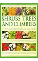 The Illustrated Guide Shrubs, Trees And Climbers