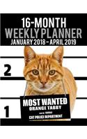 2018-2019 Weekly Planner - Most Wanted Orange Tabby: Daily Diary Monthly Yearly Calendar Large 8.5" x 11" Schedule Journal Organizer