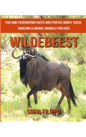 Wildebeest
